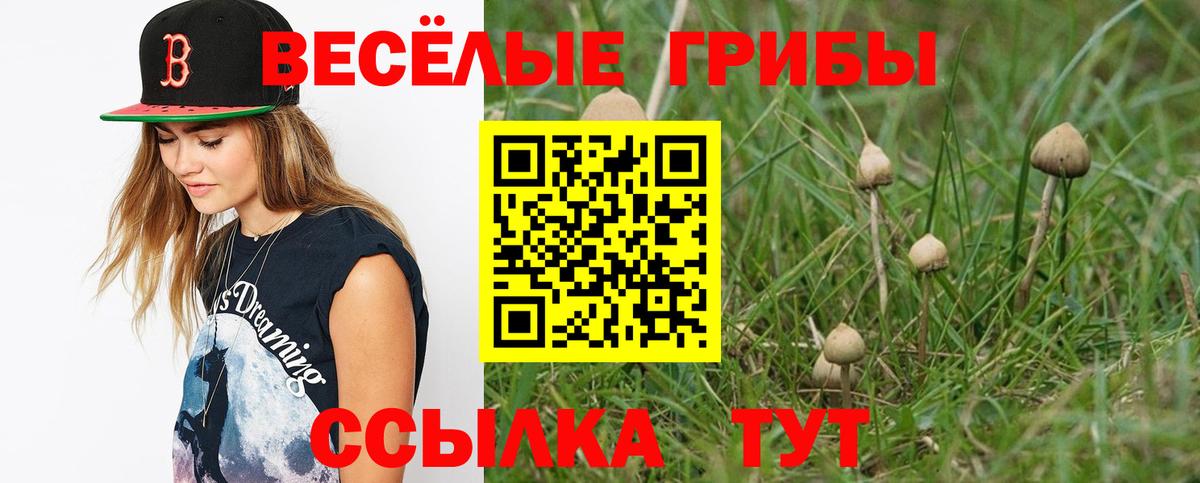 продажа наркотиков  Галлюциногенные грибы Magic Shrooms  Вход с VPN  Отрадное 